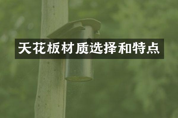 天花板材质选择和特点