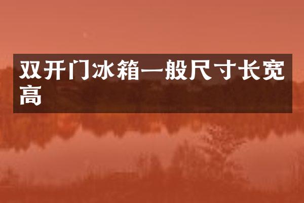 双开门冰箱一般尺寸长宽高