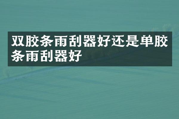 双胶条雨刮器好还是单胶条雨刮器好