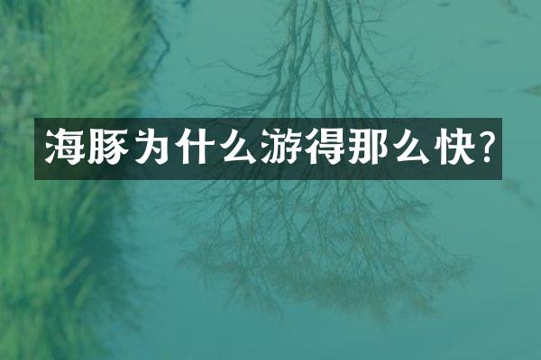 海豚为什么游得那么快?