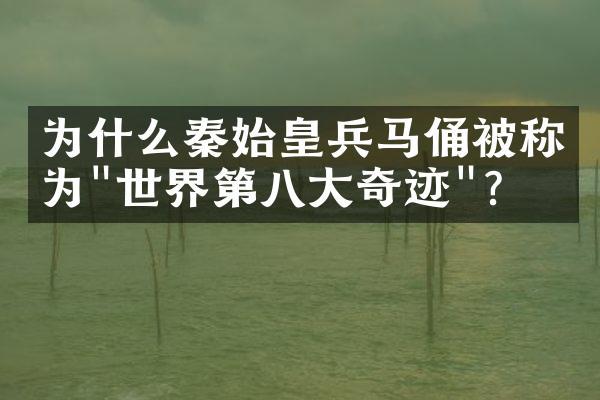 为什么秦始皇兵马俑被称为"世界第八大奇迹"?