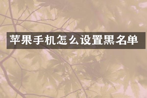 苹果手机怎么设置黑名单