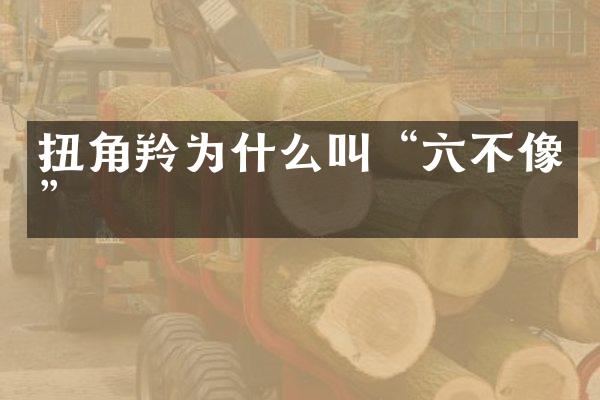 扭角羚为什么叫“六不像”