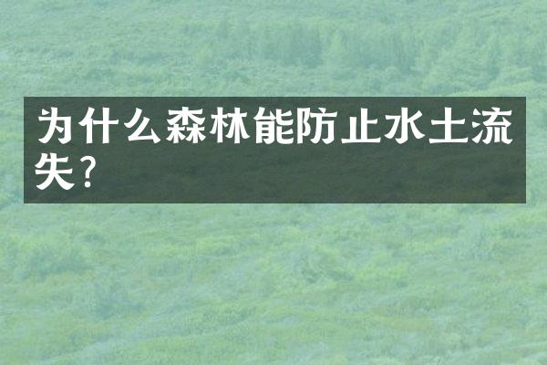 为什么森林能防止水土流失?