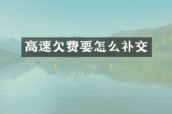 高速欠费要怎么补交