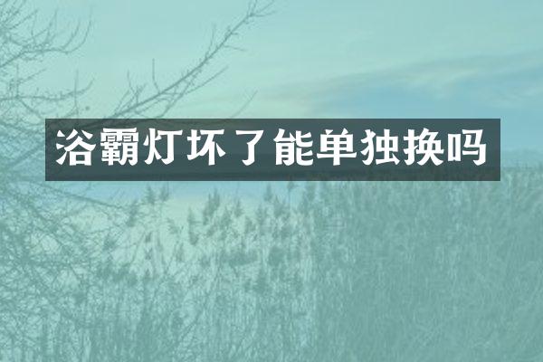 浴霸灯坏了能单独换吗