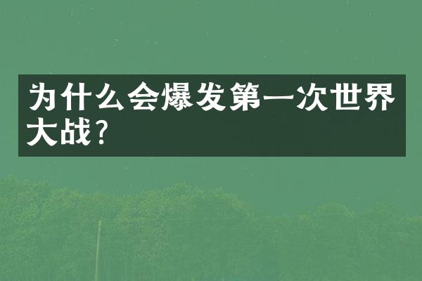 为什么会爆发第一次世界大战?