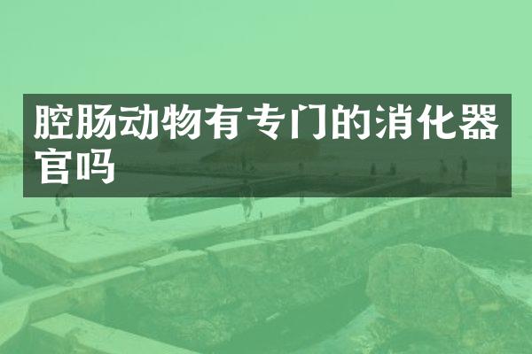 腔肠动物有专门的消化器官吗