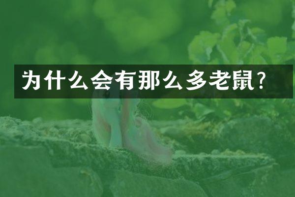 为什么会有那么多老鼠？