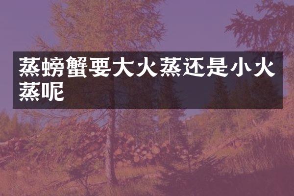 蒸螃蟹要大火蒸还是小火蒸呢