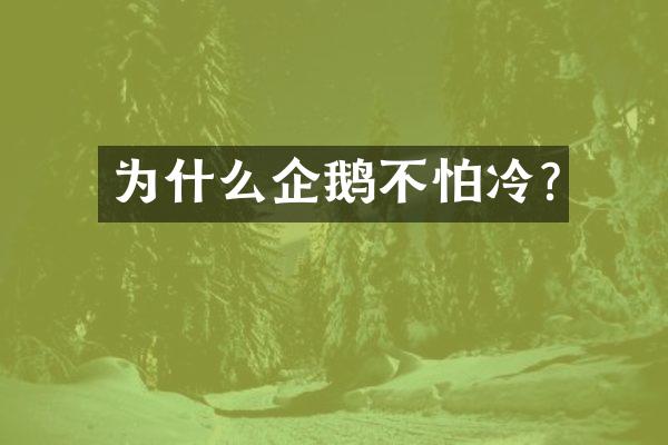 为什么企鹅不怕冷?