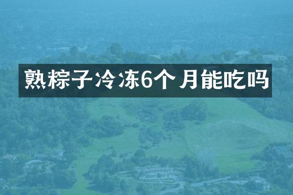 熟粽子冷冻6个月能吃吗