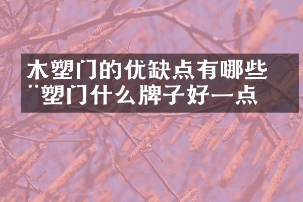 木塑门的优缺点有哪些 木塑门什么牌子好一点