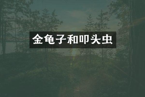 金龟子和叩头虫