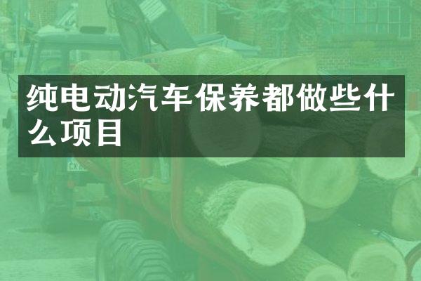 纯电动汽车保养都做些什么项目