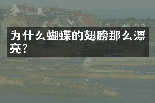 为什么蝴蝶的翅膀那么漂亮?