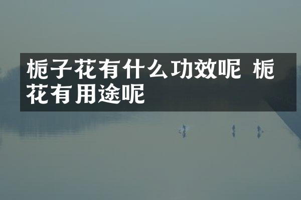 栀子花有什么功效呢 栀子花有用途呢