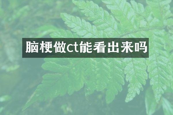 脑梗做ct能看出来吗