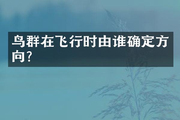 鸟群在飞行时由谁确定方向？