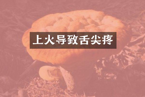 上火导致舌尖疼