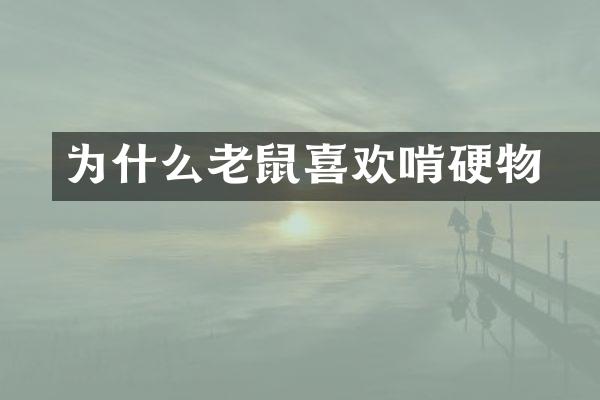 为什么老鼠喜欢啃晈硬物