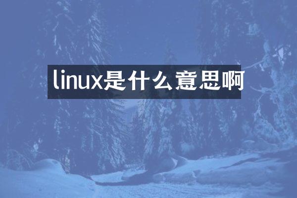 linux是什么意思啊