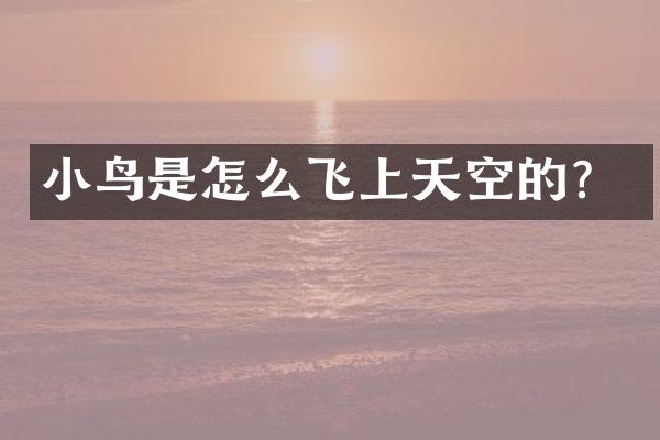 小鸟是怎么飞上天空的？