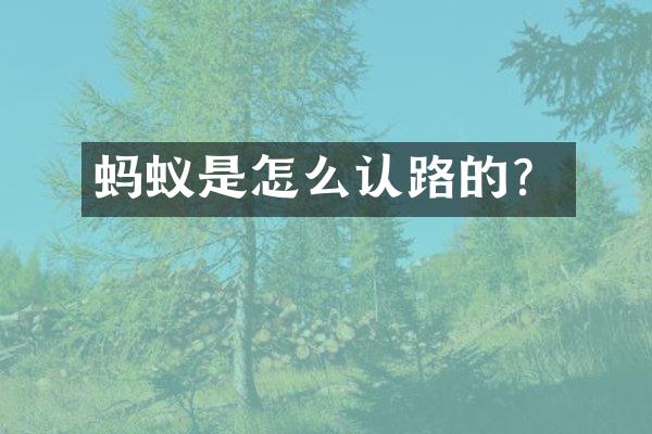 蚂蚁是怎么认路的？