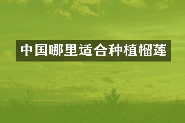 中国哪里适合种植榴莲