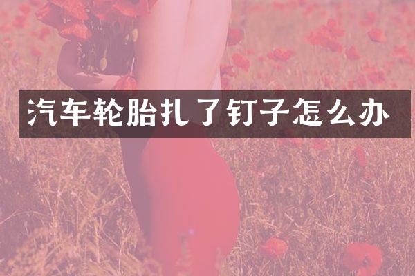汽车轮胎扎了钉子怎么办