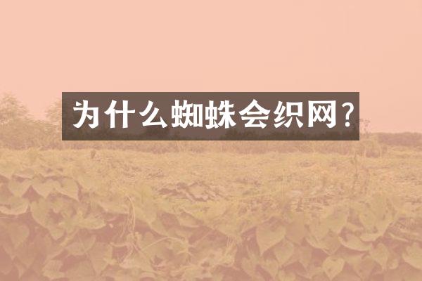 为什么蜘蛛会织网?