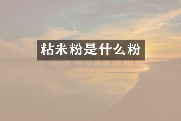 粘米粉是什么粉
