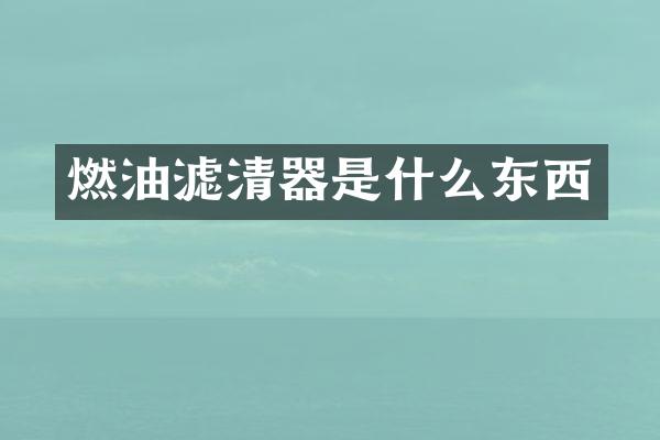 燃油滤清器是什么东西