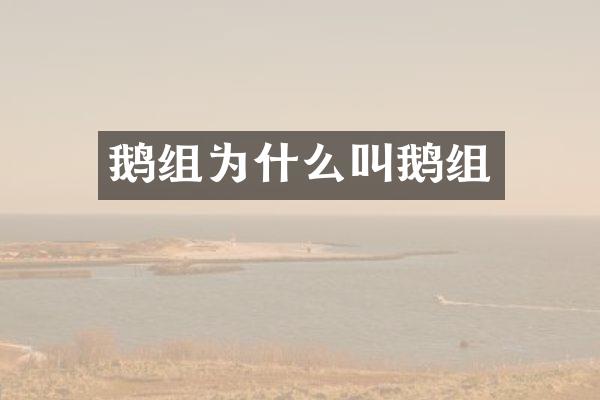 鹅组为什么叫鹅组