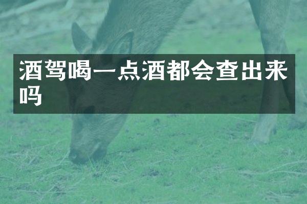 酒驾喝一点酒都会查出来吗