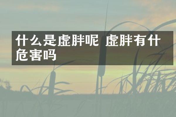 什么是虚胖呢 虚胖有什么危害吗
