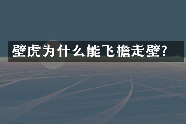 壁虎为什么能飞檐走壁？
