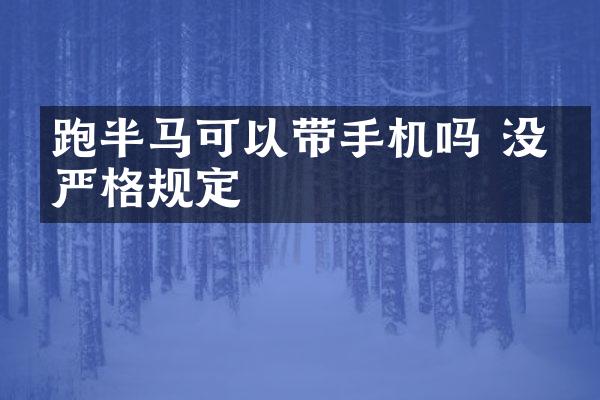 跑半马可以带手机吗 没有严格规定