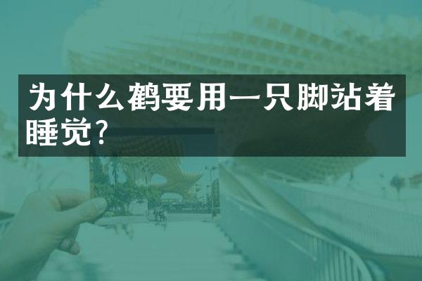 为什么鹤要用一只脚站着睡觉?