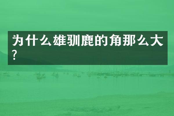 为什么雄驯鹿的角那么大?