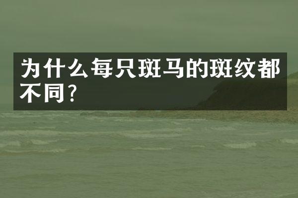 为什么每只斑马的斑纹都不同?