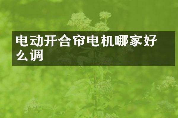 电动开合帘电机哪家好 怎么调