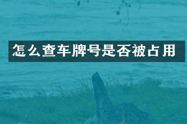 怎么查车牌号是否被占用