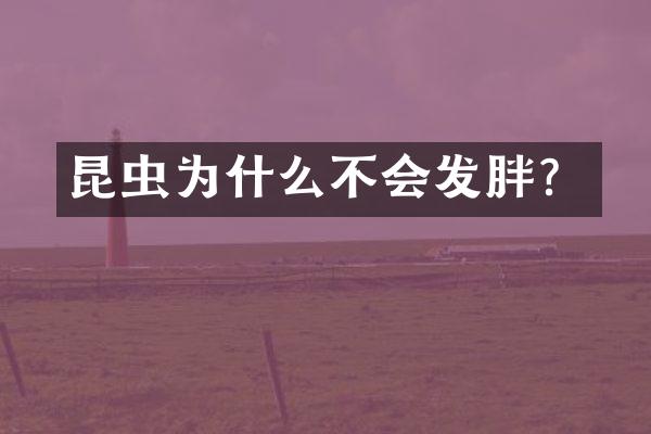 昆虫为什么不会发胖？