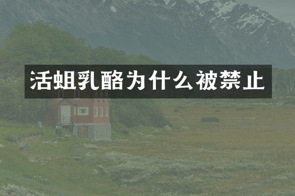 活蛆乳酪为什么被禁止