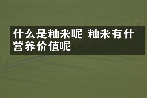 什么是籼米呢 籼米有什么营养价值呢
