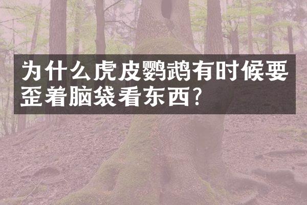 为什么虎皮鹦鹉有时候要歪着脑袋看东西？