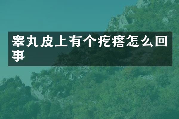 睾丸皮上有个疙瘩怎么回事