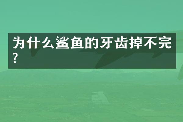 为什么鲨鱼的牙齿掉不完?