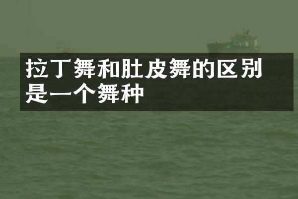 拉丁舞和肚皮舞的区别 不是一个舞种